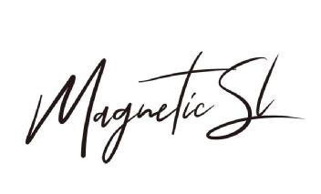Imagen de Magnetic SL