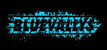 Imagen de BLUEVALLYS