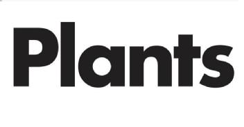 Imagen de PLANTS
