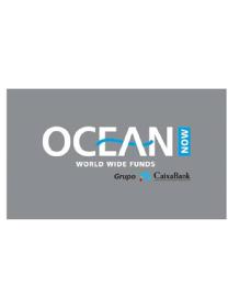 Imagen de OCEAN NOW WORLD WIDE FUNDS Grupo CaixaBank