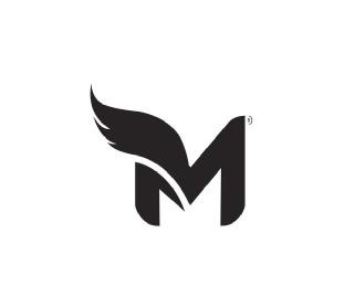Imagen de THE MAHSA EXPERIENCE