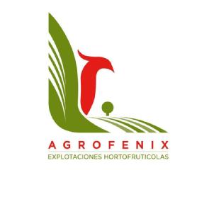 Imagen de AGROFENIX EXPLOTACIONES HORTOFRUTICOLAS