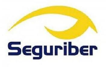 Imagen de SEGURIBER