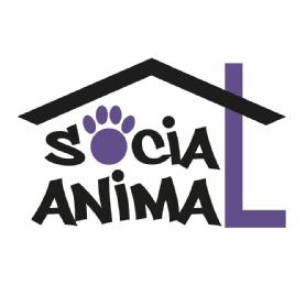 Imagen de SOCIAL ANIMAL