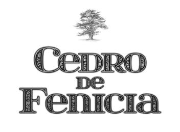 Imagen de CEDRO DE FENICIA