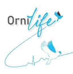 Imagen de ORNILIFE