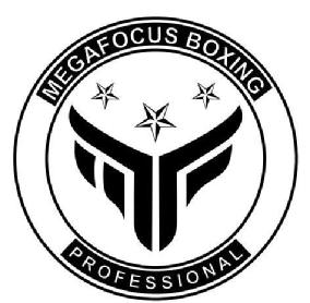 Imagen de MEGAFOCUS BOXING PROFESSIONAL