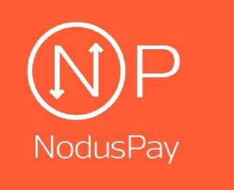 Imagen de N P NODUS PAY
