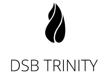 Imagen de DSB TRINITY