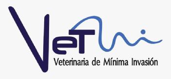 Imagen de Vetmi Veterinaria de Mínima Invasión