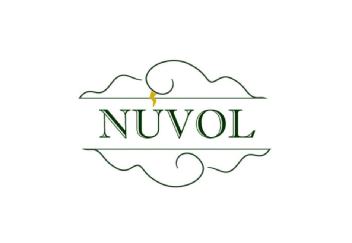 Imagen de Núvol