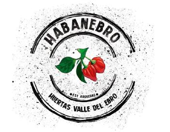 Imagen de HABANEBRO .EST ARGUEDAS HUERTAS. VALLE DEL EBRO