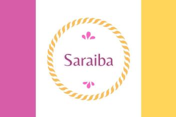 Imagen de SARAIBA