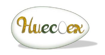 Imagen de HUECOEX