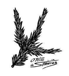 Imagen de O Teixo de Triviño