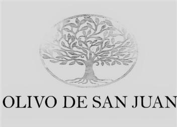 Imagen de OLIVO DE SAN JUAN