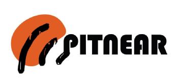 Imagen de PITNEAR