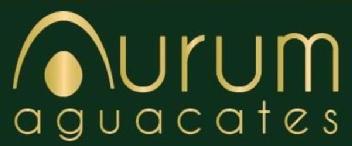 Imagen de AURUM AGUACATES