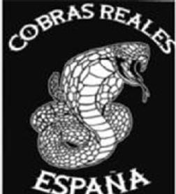 Imagen de COBRAS REALES ESPAÑA