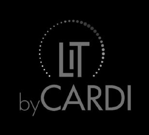 Imagen de LIT BY CARDI, FIG