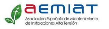 Imagen de AEMIAT ASOCIACIÓN ESPAÑOLA DE MANTENIMIENTO DE INSTALACIONES ALTA TENSIÓN