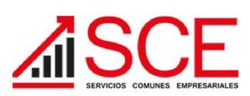 Imagen de SERVICIOS COMUNES EMPRESARIALES