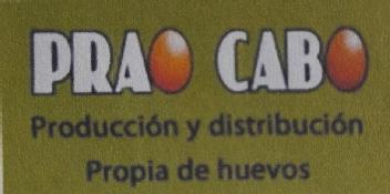 Imagen de PRAO CABO PRODUCCION Y DISTRIBUCION PROPIA DE HUEVOS