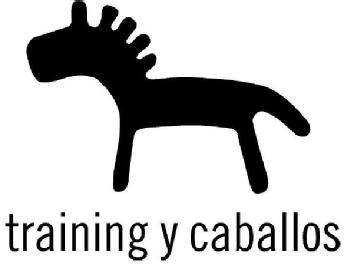Imagen de TRAINING Y CABALLOS