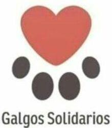 Imagen de GALGOS SOLIDARIOS