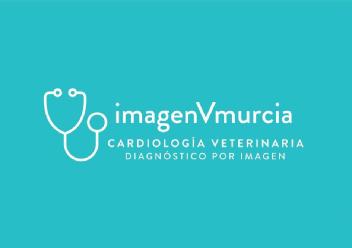 Imagen de imagenVmurcia cardiología veterinaria diagnóstico por imagen