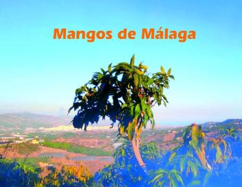 Imagen de MANGOS DE MALAGA
