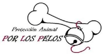 Imagen de PROTECCION ANIMAL POR LOS PELOS
