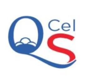 Imagen de QS CEL