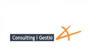 Imagen de CONSULTING I GESTIO