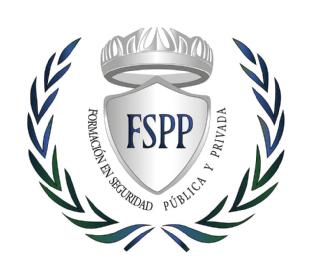 Imagen de FORMACIÓN EN SEGURIDAD PÚBLICA Y PRIVADA