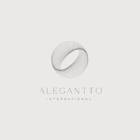 Imagen de ALEGANTTO INTERNATIONAL