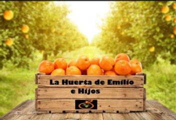 Imagen de LA HUERTA DE EMILIO E HIJOS