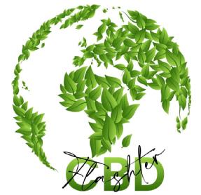 Imagen de FLASHTER CBD