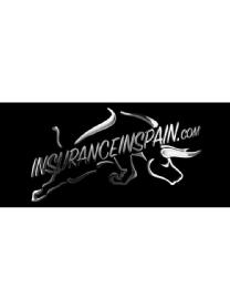 Imagen de INSURANCEINSPAIN.COM