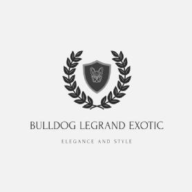 Imagen de BULLDOG LEGRAND EXOTIC ELEGANCE AND STYLE