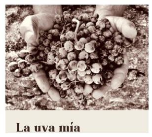 Imagen de LA UVA MíA