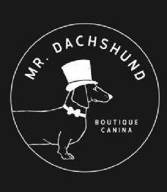 Imagen de Mr.Dachshund