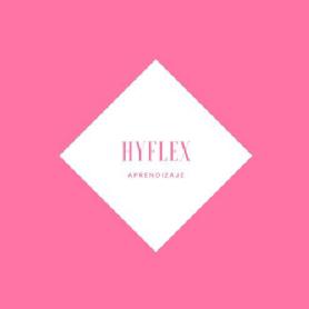 Imagen de HYFLEX APRENDIZAJE