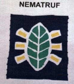 Imagen de NEMATRUF