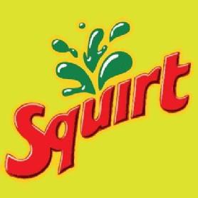 Imagen de SQUIRT