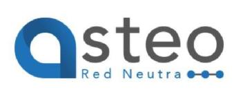 Imagen de ASTEO RED NEUTRA
