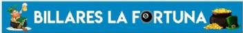 Imagen de BILLARES LA FORTUNA 8