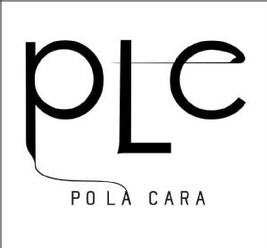 Imagen de PLC POLA CARA