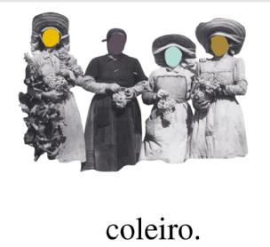 Imagen de coleiro