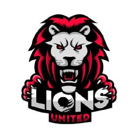 Imagen de Lions United